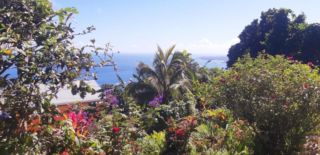 "Sunrise Inn" Nature Island Dominica Penville Exterior foto