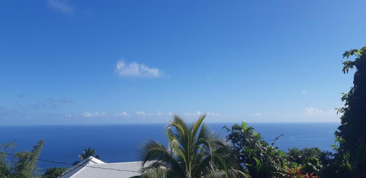 "Sunrise Inn" Nature Island Dominica Penville Exterior foto