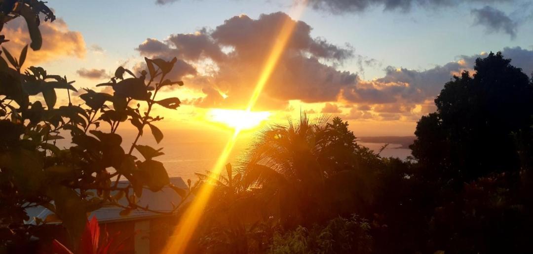 "Sunrise Inn" Nature Island Dominica Penville Exterior foto